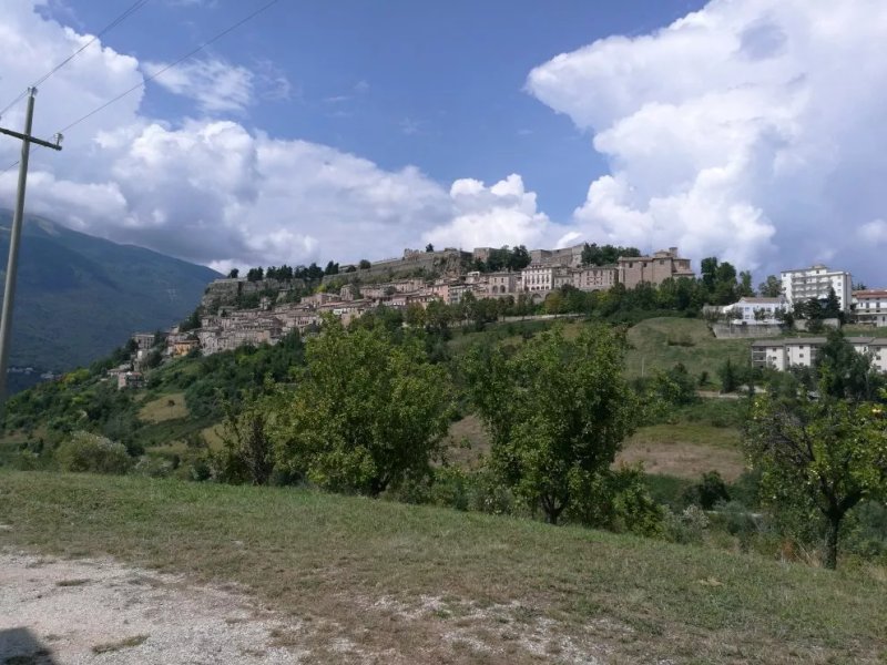 La Collina Degli Ulivi