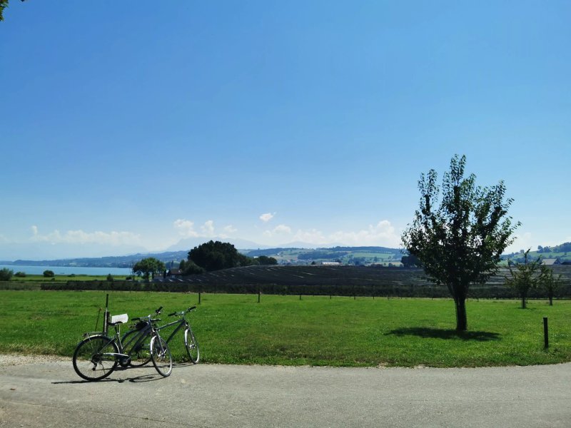 Hotel & Conference Center Sempachersee