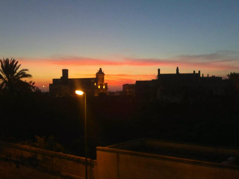 The Old Court
