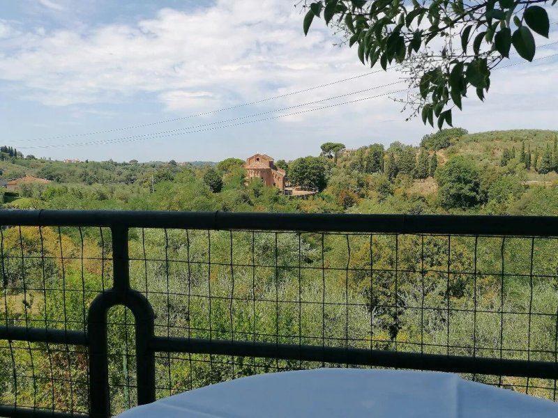 Il Pettirosso