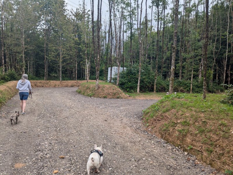 Ashbourne Woods Campground
