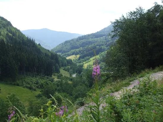 Haus Erika