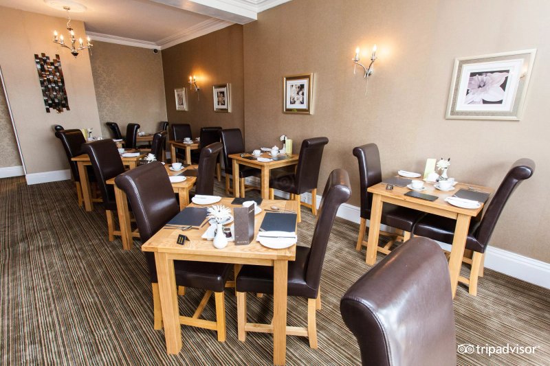 The Elm Tree
