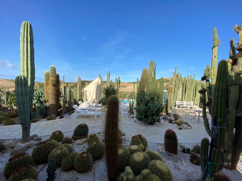 Garden Cactus - Relais, Suite de Charme and Botanical Park