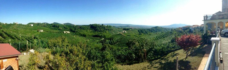Tenuta Sant'Eufemia