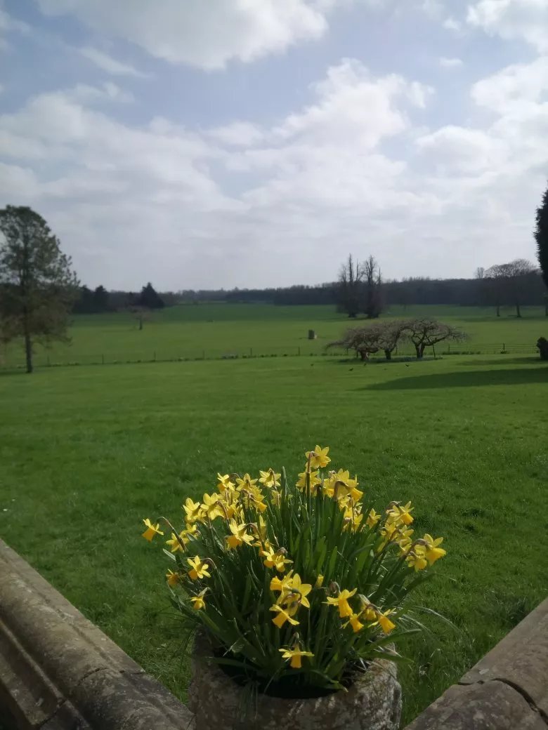 The Dining Room at Goldsborough Hall