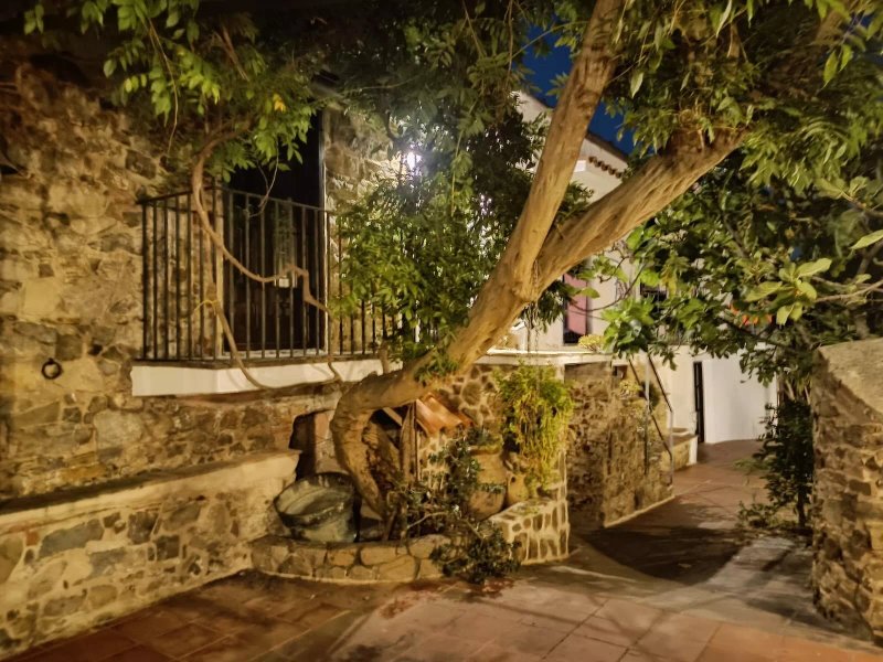 Tenuta Luogo Marchese