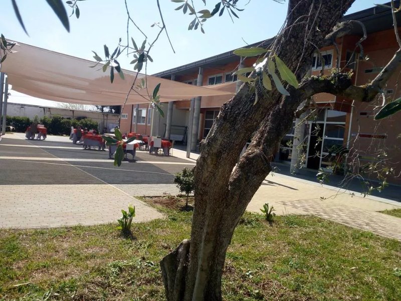 Tocchi di Puglia