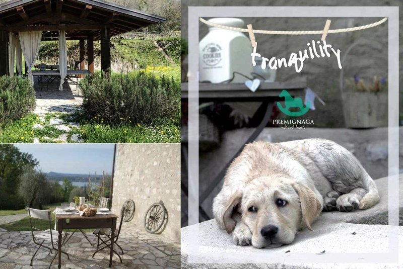 Premignaga Natural Home