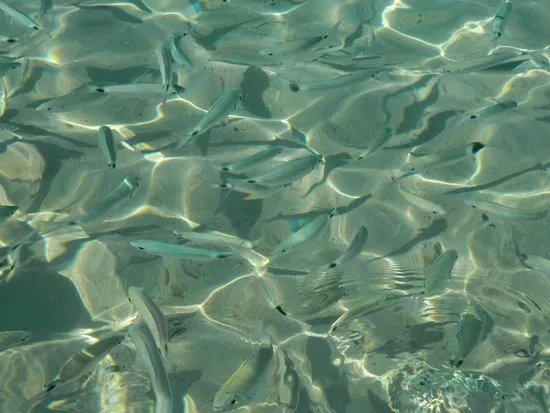 Spiaggia di Marongiu