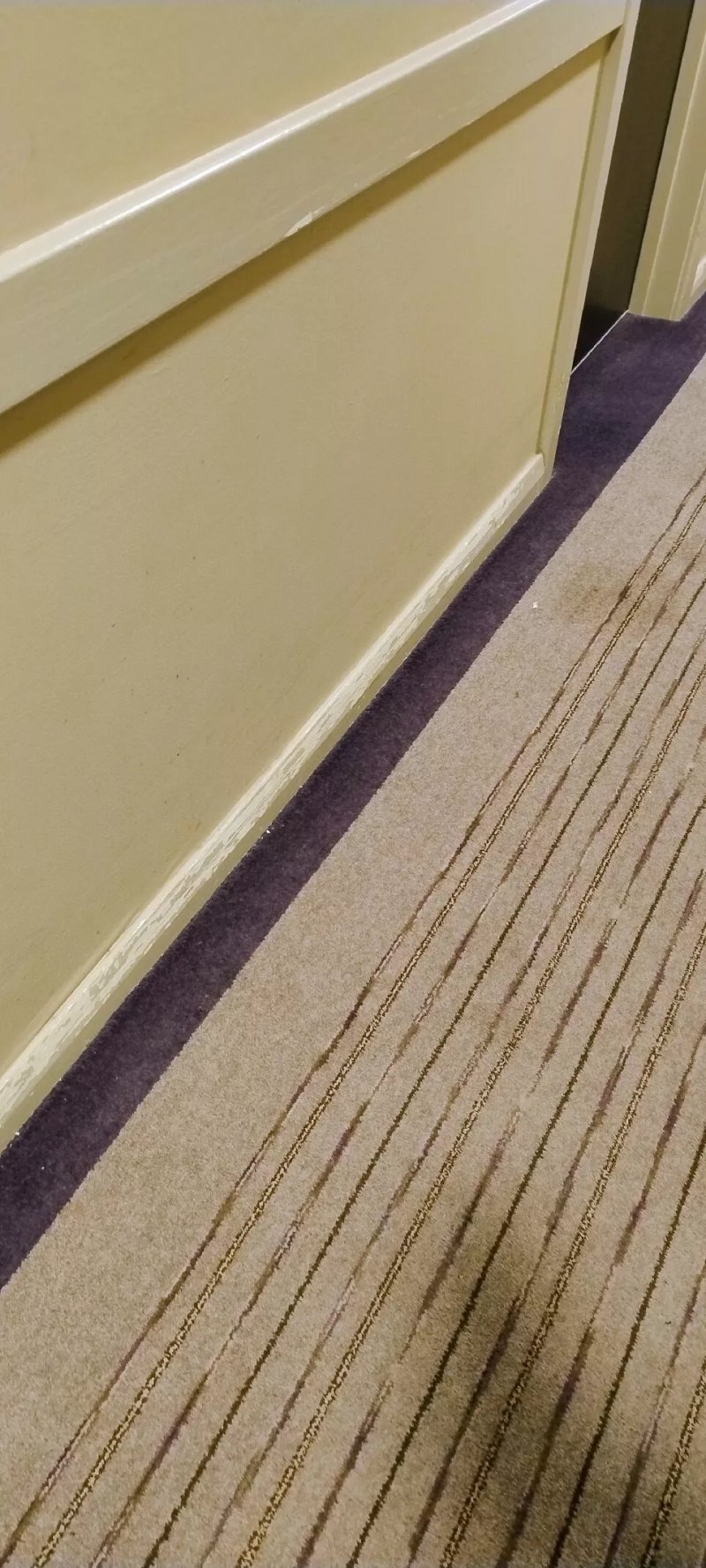 Premier Inn Truro Hotel