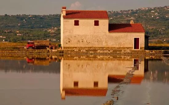 Hostel Piran
