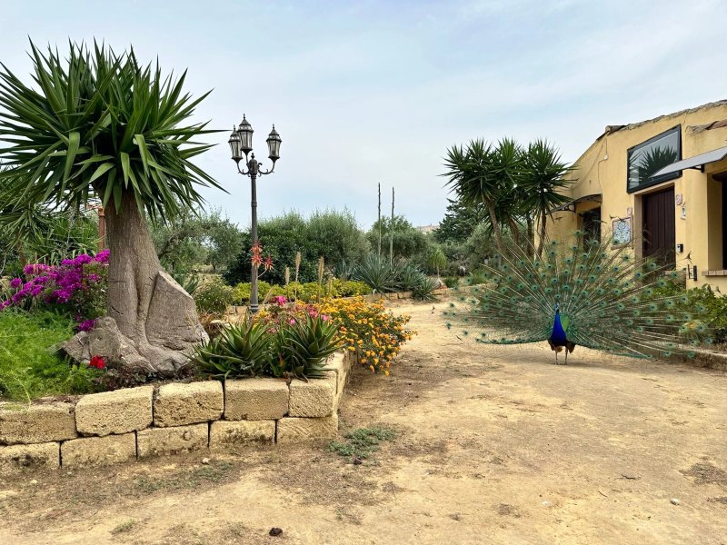 B&B Villa San Marco