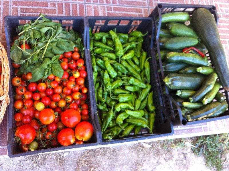 Agriturismo Baratz