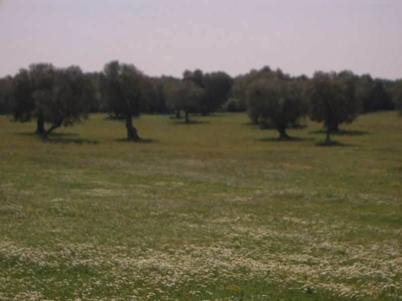 Masseria Don Egidio