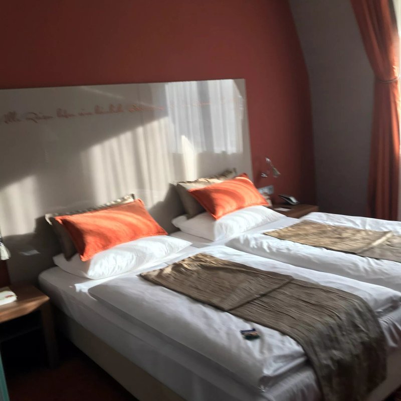 Hotel Braun - Art Hotel