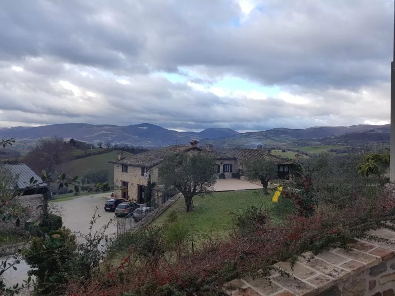 Agriturismo L' Antico Oliveto