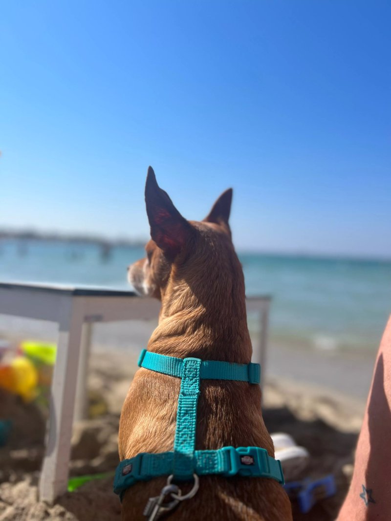 Infinito Resort