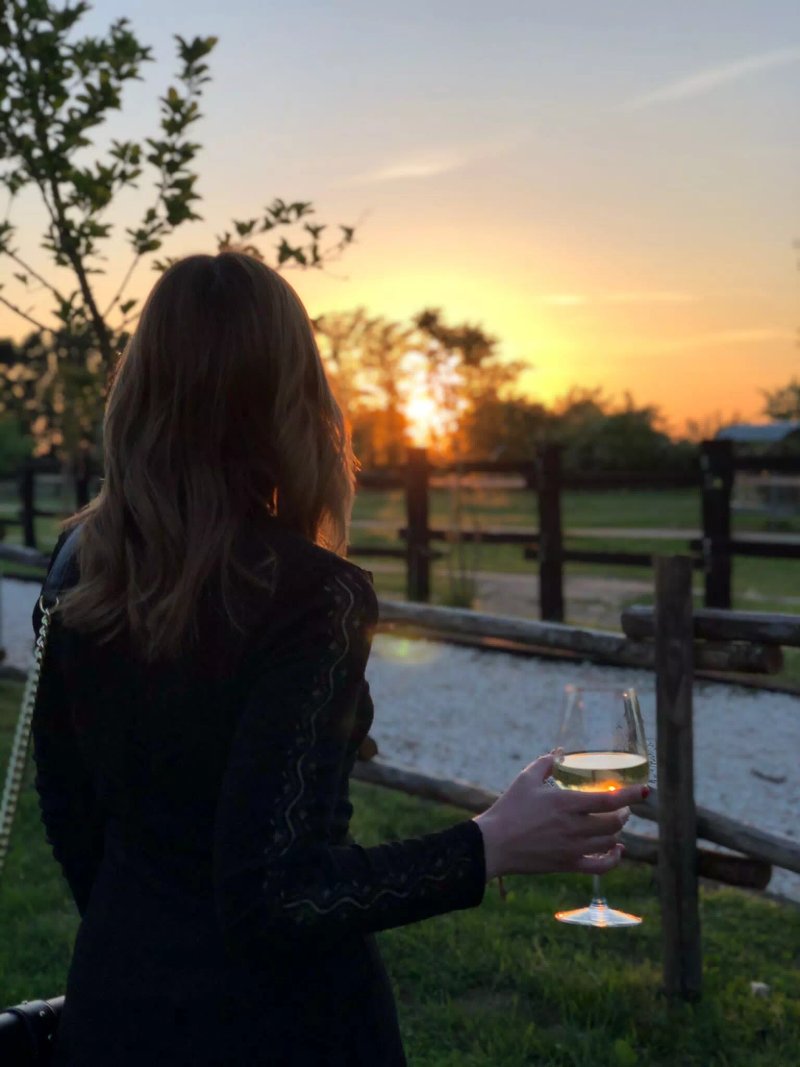 Agriturismo La Contea del Vignolo Fiorito