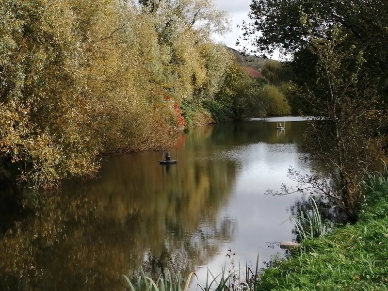 Le Chalet Des Etangs
