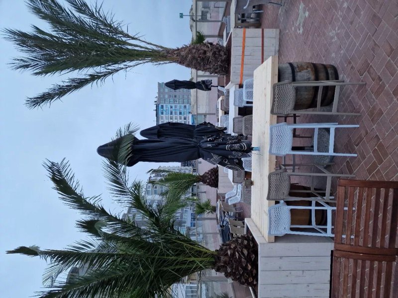 Tapavino Oostduinkerke