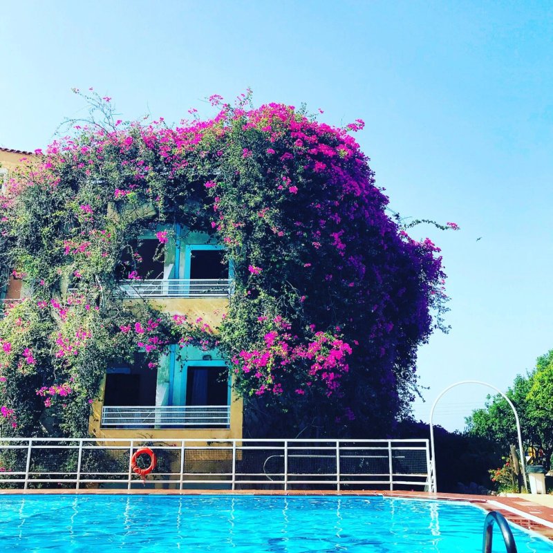 Iliostasi Beach Apartments