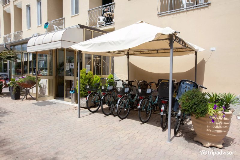 Hotel Delle Mimose