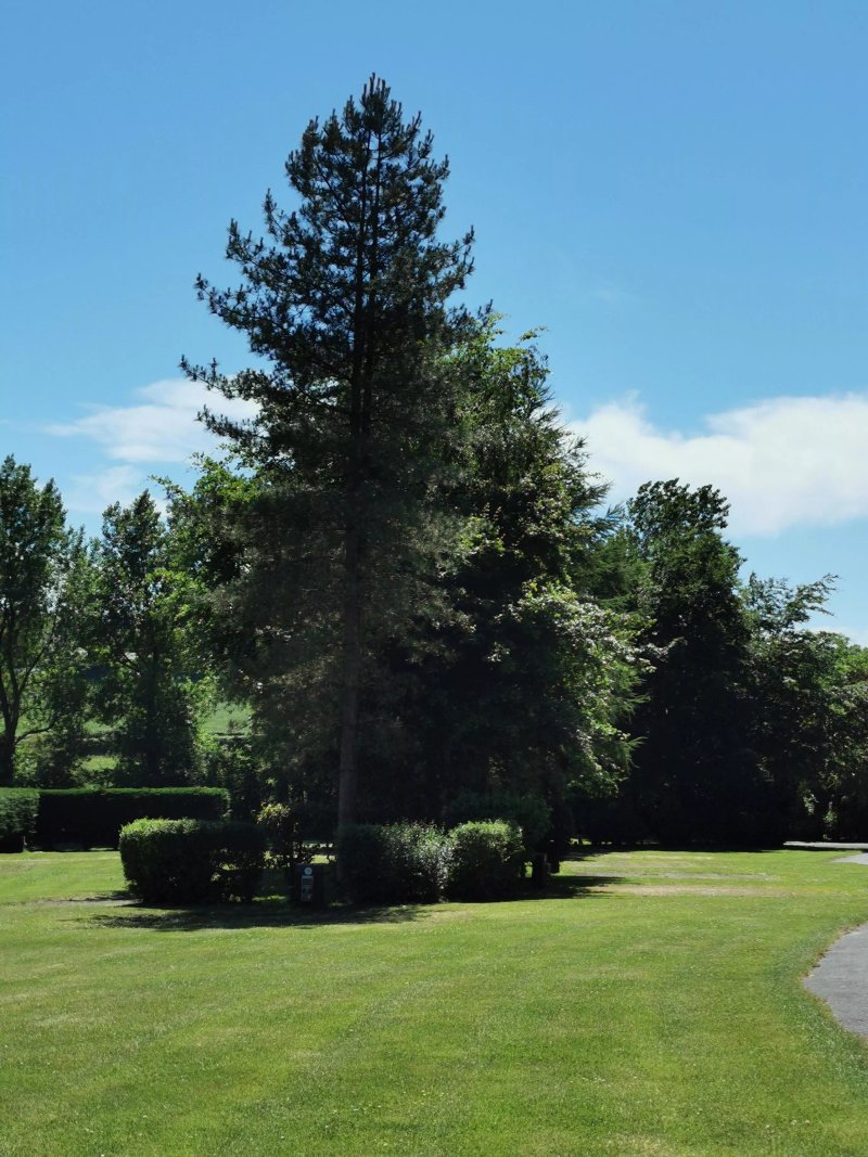 Rowston Holiday Park