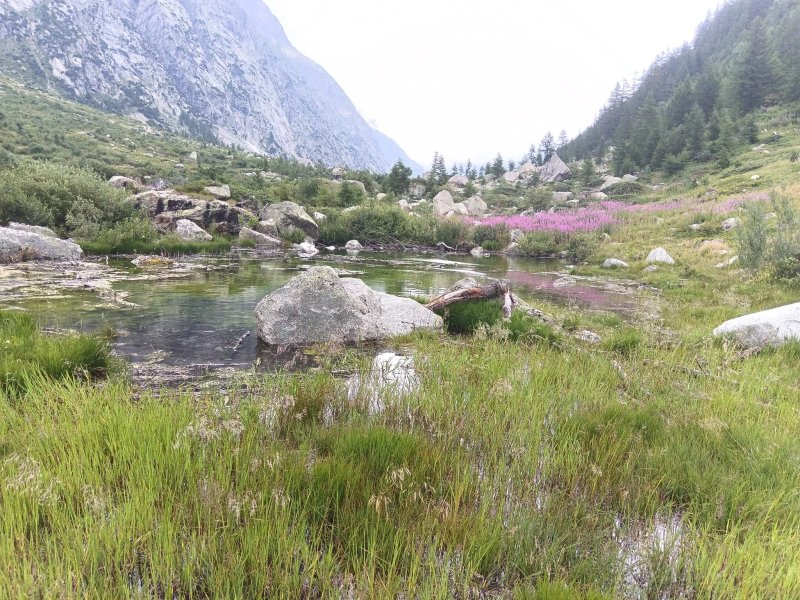 Val Ferret