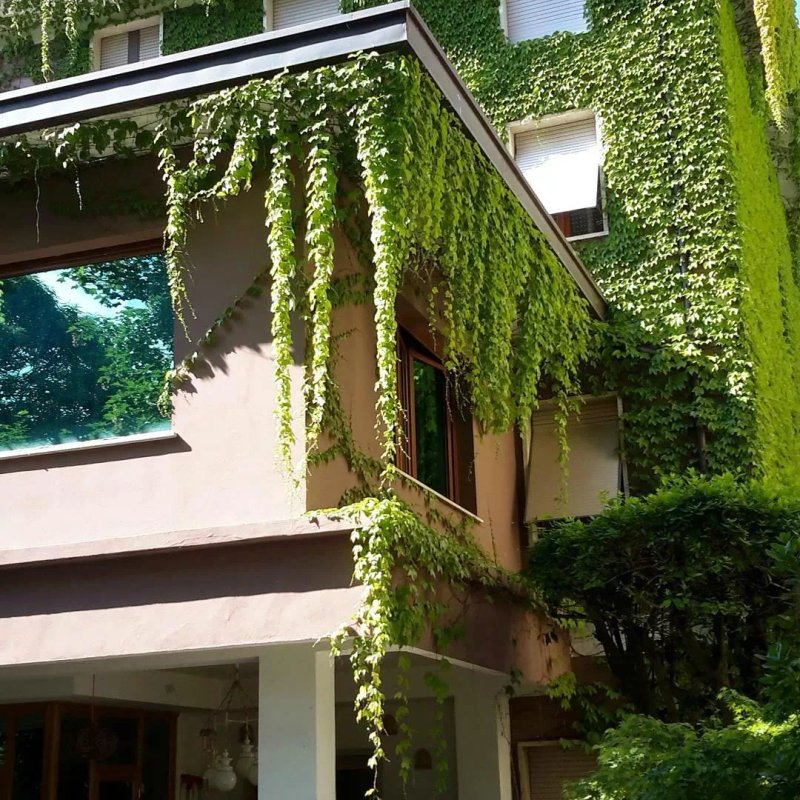 Hotel Villa Maria Letizia