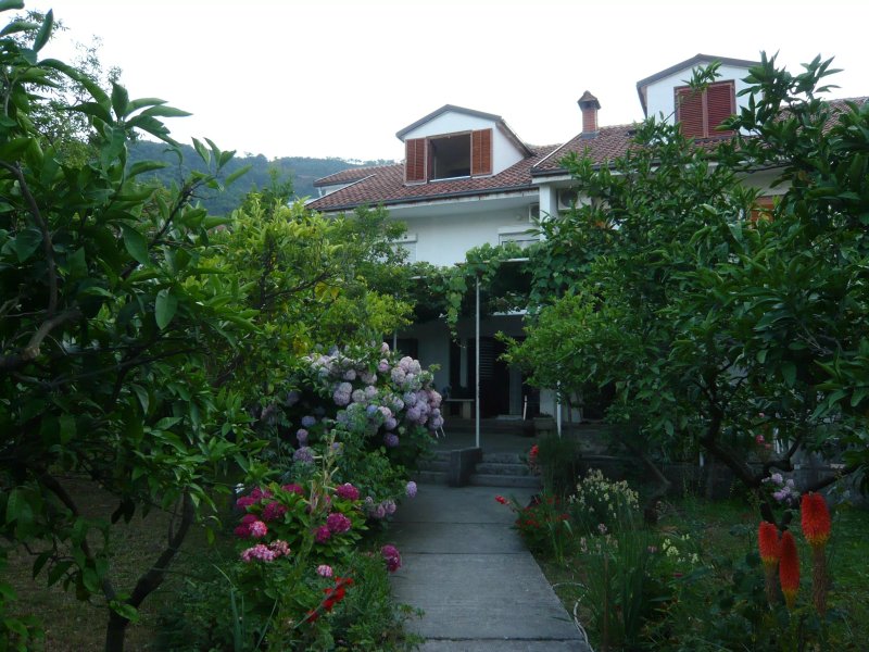 Apartments Budva Center