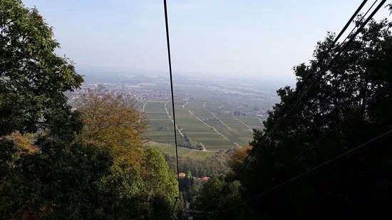 Burgruine Rietburg