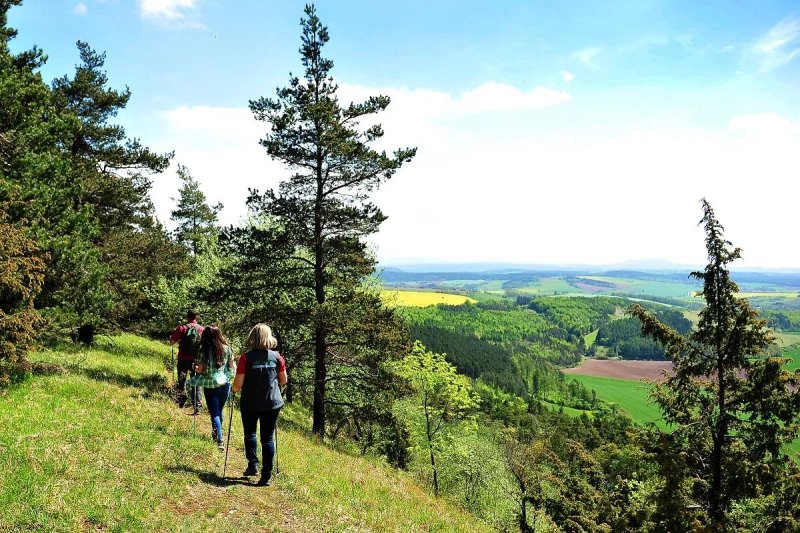Zur Grunen Kutte