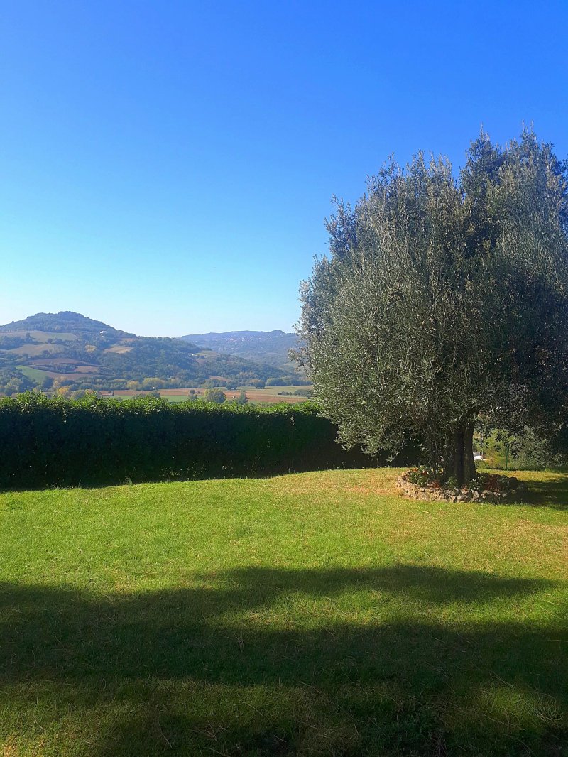 Agriturismo San Fedele