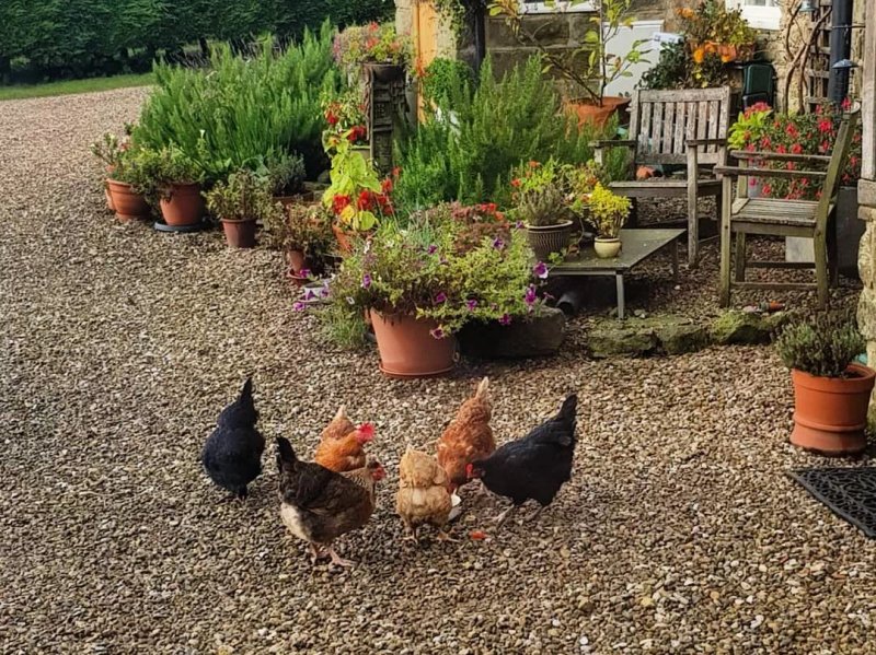 Folly Hall Farm