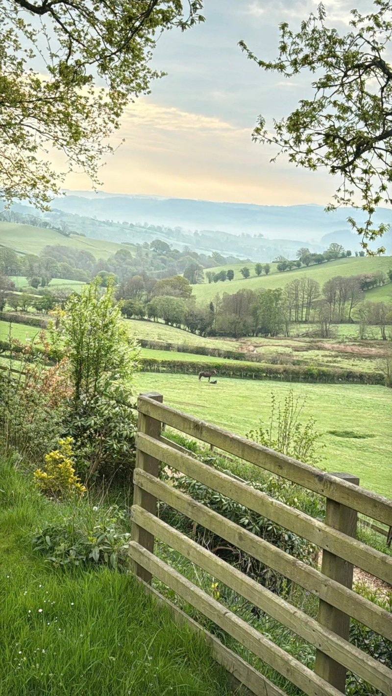 Cyfie Farm
