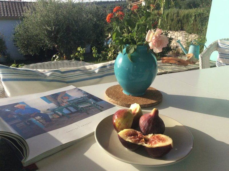 The Iconpainter Villas