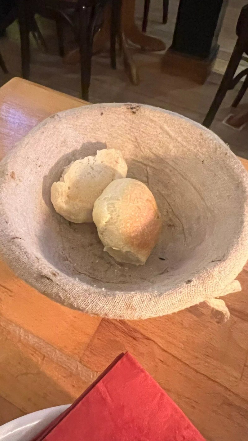Rotbuche