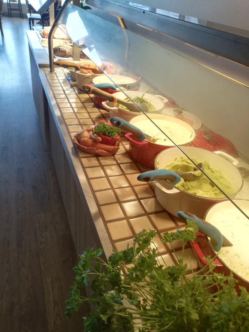 Hayl'z Catering
