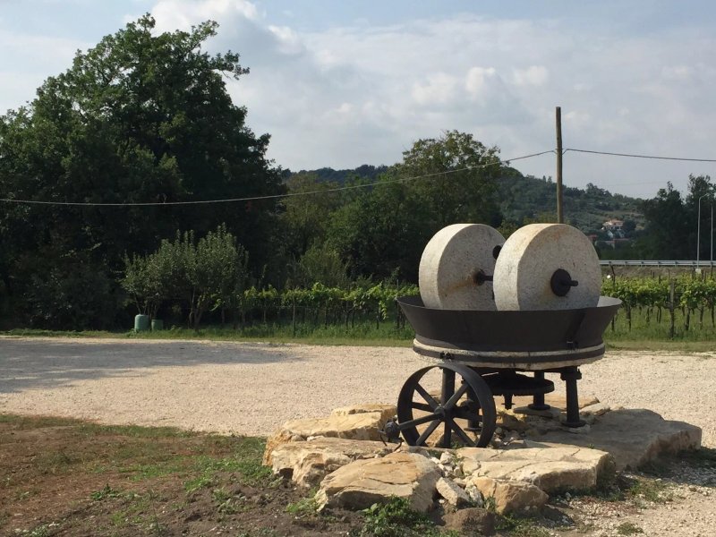 Azienda Agrituristica Il Vecchio Frantoio