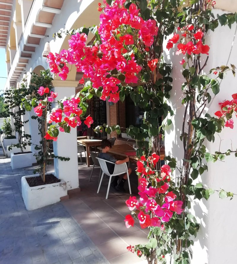Mesa Ibiza