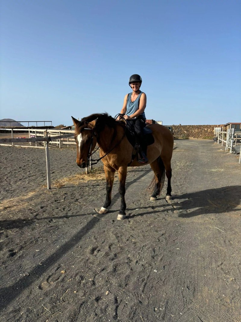 Horses Lanzarote