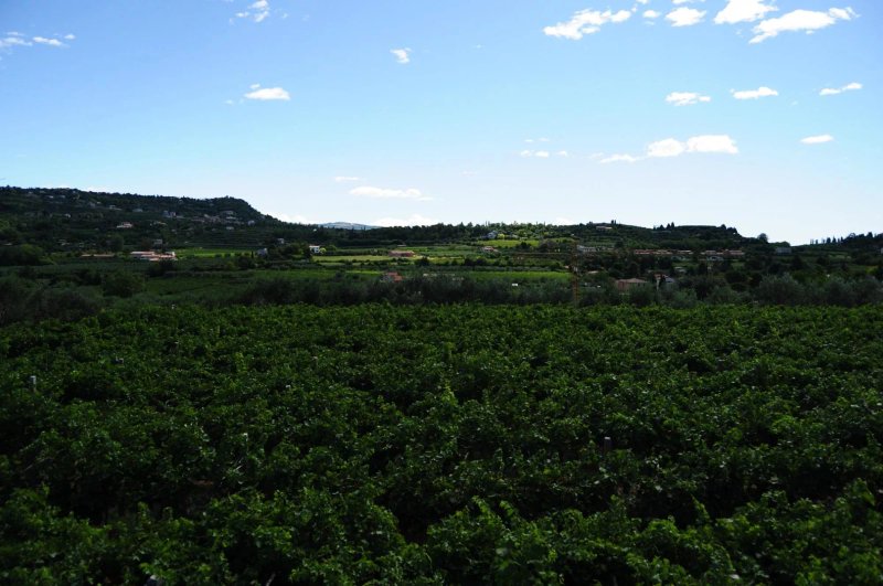 Agriturismo Costadoro