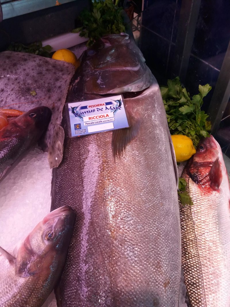 Pescheria Domus De Mare