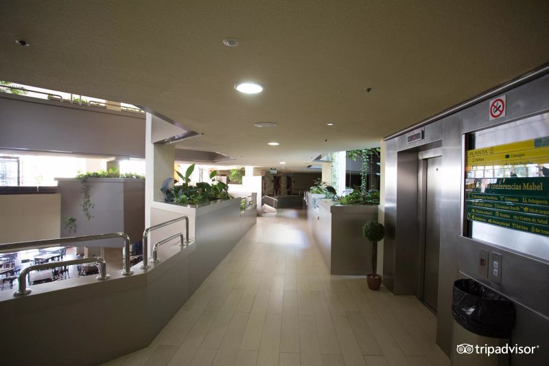 Paradise Park Fun Lifestyle Hotel