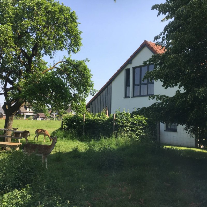 Gästehaus Drostenhof