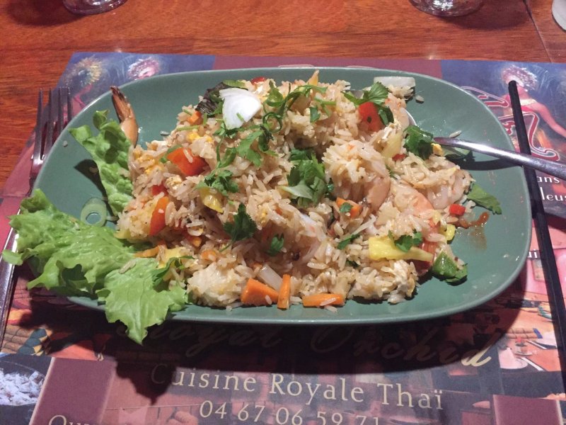 Royal Orchid