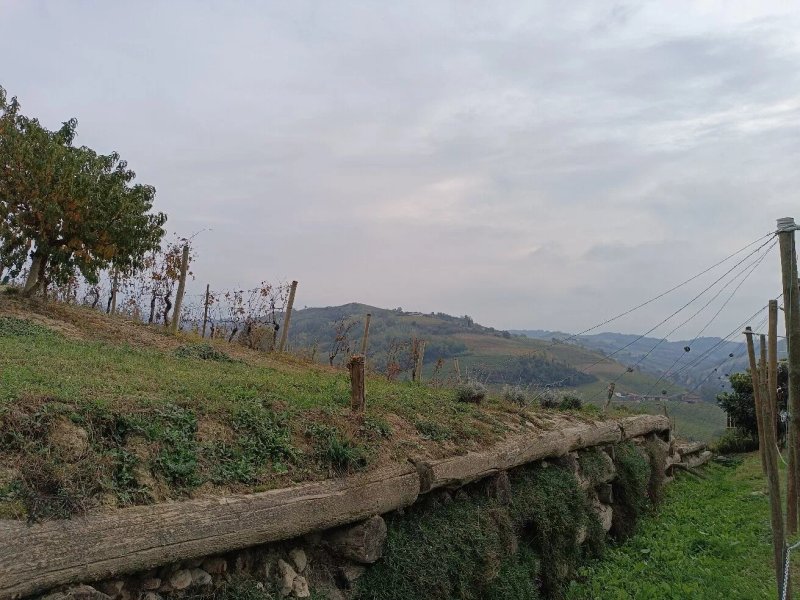 Azienda Agrituristica Lo Sprin