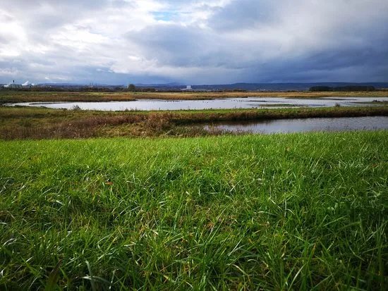 RSPB Burton Mere Wetlands
