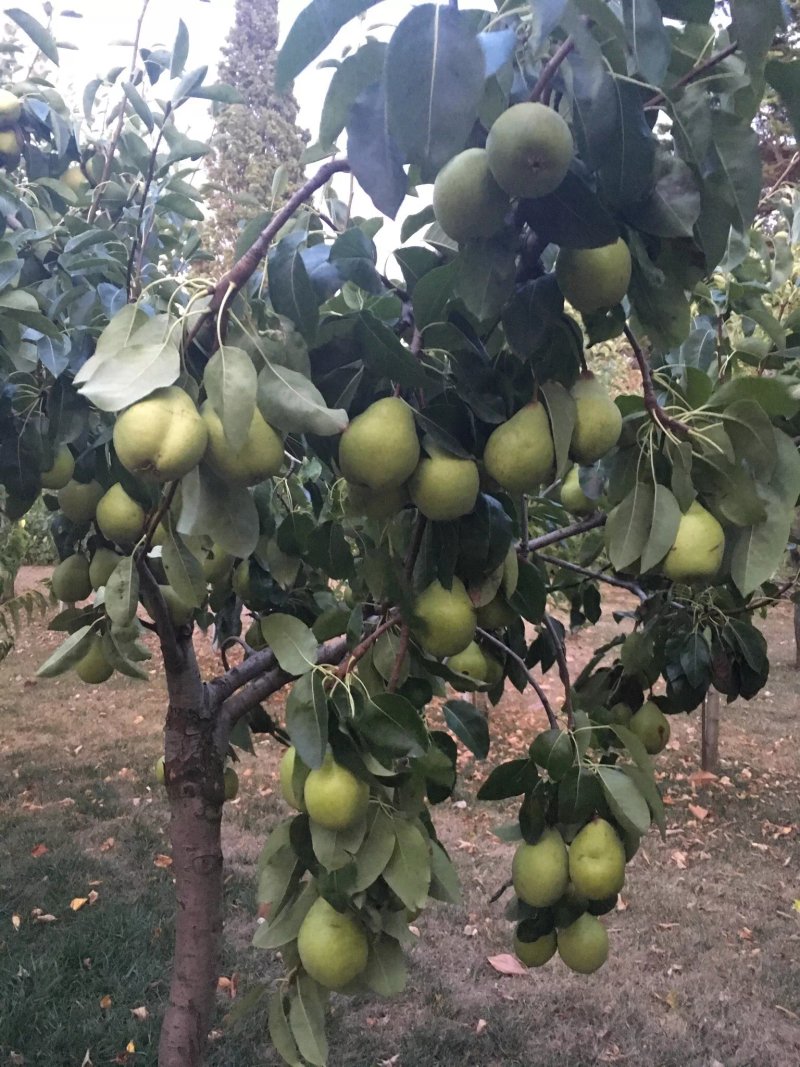 Agriturismo I Sapori di un Tempo